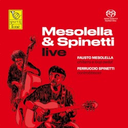 Mesolella & Spinetti Live