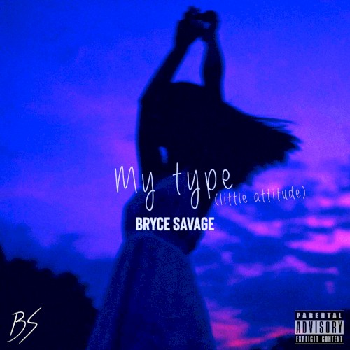 My Type (Little Attitude)