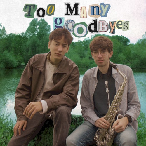 Too Many Goodbyes