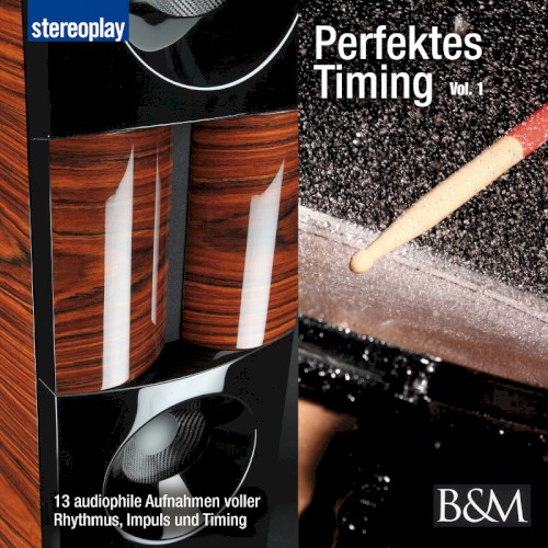 Perfektes Timing Vol. 1