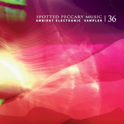 36 — Ambient Electronic Sampler