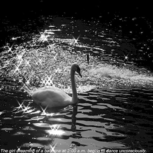 The girl dreaming of a ballerina at 2:00 a.m. begins to dance unconsciously.