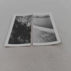 Cuttings