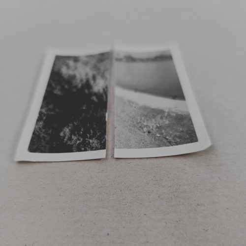 Cuttings