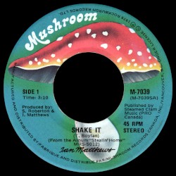 Shake It