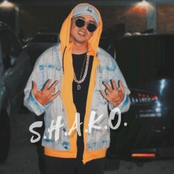 S.H.A.K.O.