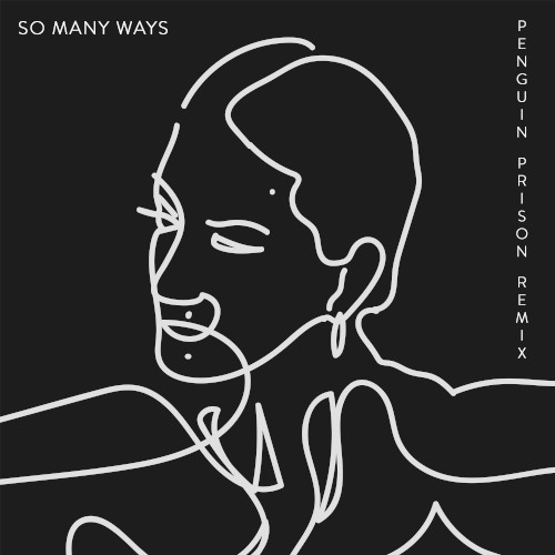 So Many Ways (Penguin Prison remix)