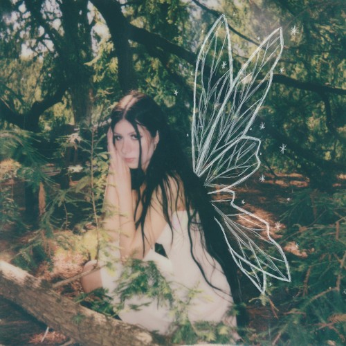 fairies
