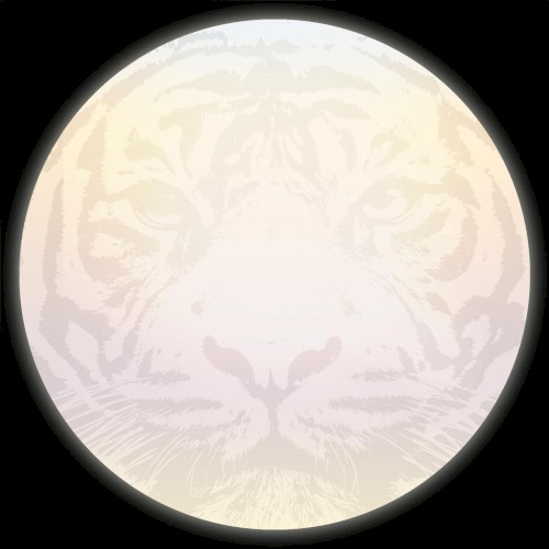 Moon Tiger