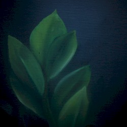 In Distant Terra
