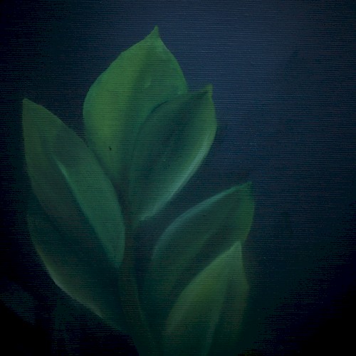 In Distant Terra