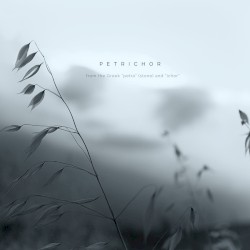 Petrichor
