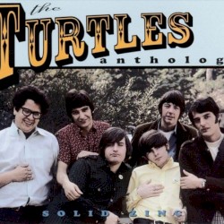 Solid Zinc: The Turtles Anthology