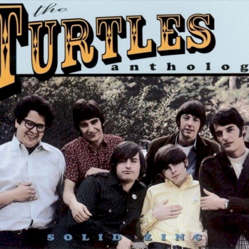 Solid Zinc: The Turtles Anthology