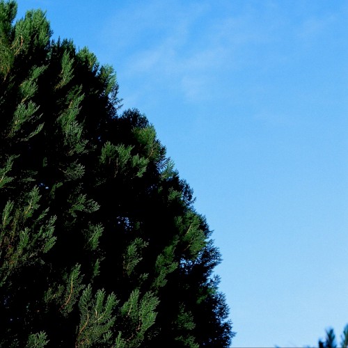 Om