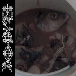 #202: We Are the Centuries