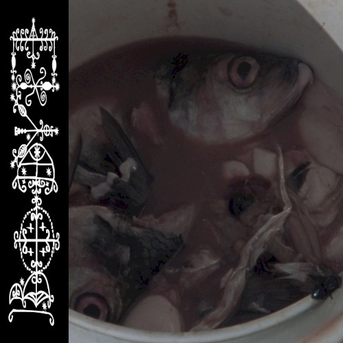 #202: We Are the Centuries