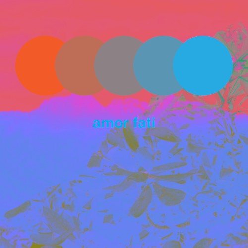 Amor Fati
