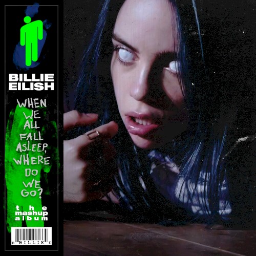 When We All Fall Asleep, Where Do We Go? (A Mashup Kingdom Compilation Album)