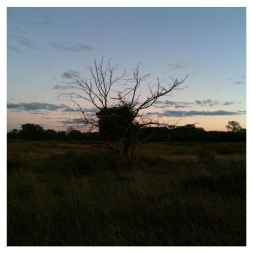 An Autumn Cassette or Leaves Will Bloom, Leaves Will Fall Long After We Are Gone