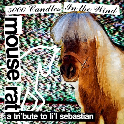 5000 Candles in the Wind: A Tri’bute to Li’l Sebastian