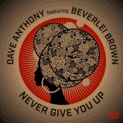 Never Give You Up