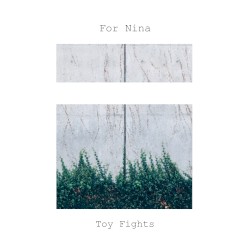 Toy Fights