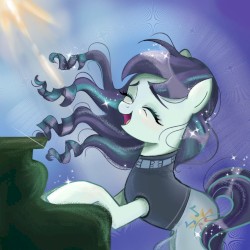 pony flips 2