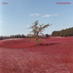 Banksiana