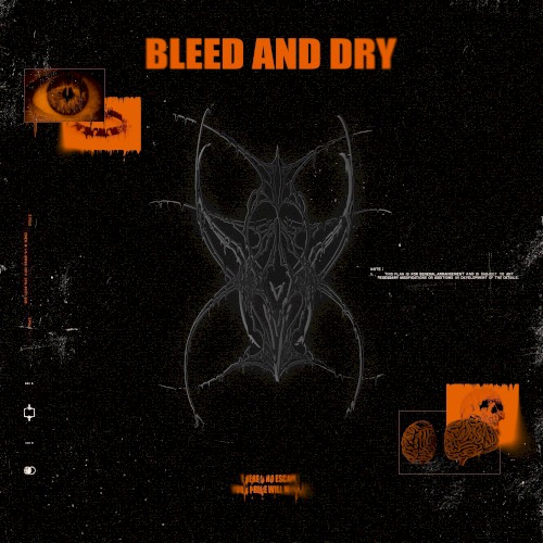 Bleed and Dry