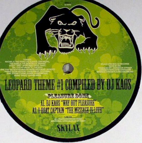 Leopard Theme #1