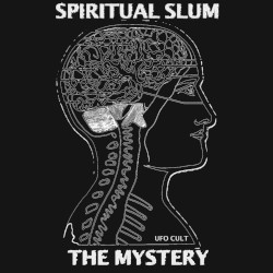The Mystery