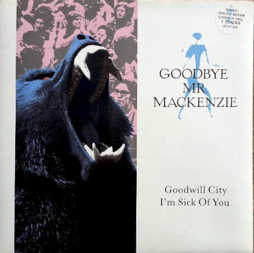 Goodwill City / I’m Sick of You