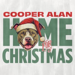 Home for Christmas
