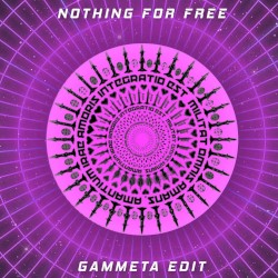 Nothing For Free (Gammeta D&B Edit)