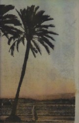 The Palm Leaves of Victory