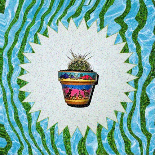 Cactus Magnet
