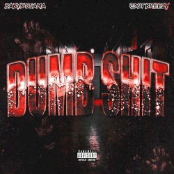 Dumb Shit