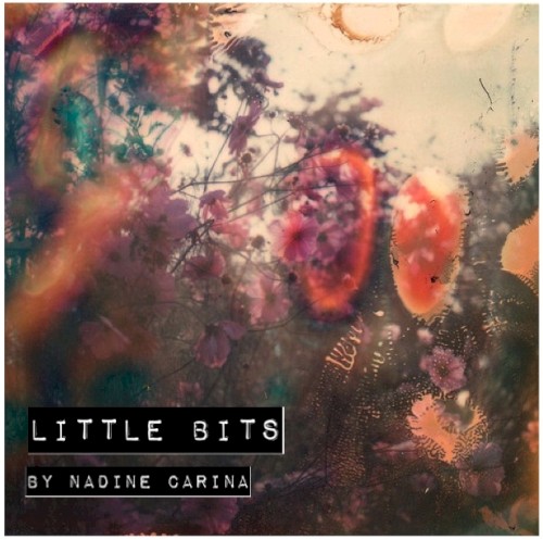 Little Bits