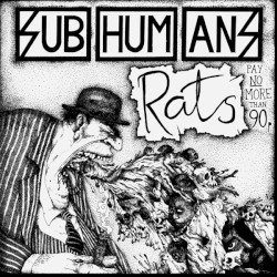 Rats