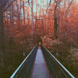 October Unfolding