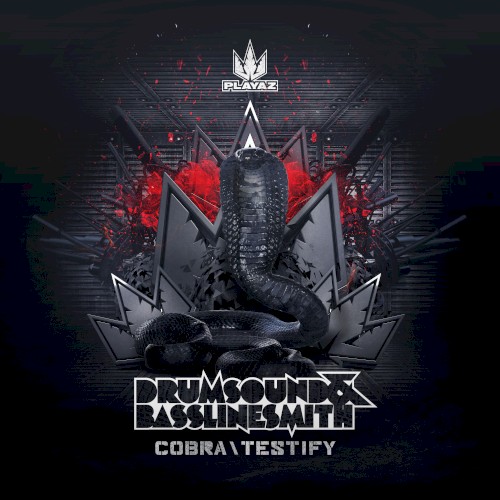 Cobra / Testify