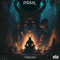 PRML
