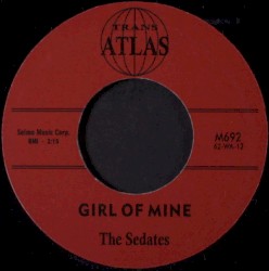 Girl Of Mine / Bei Mir Bist Du Schon