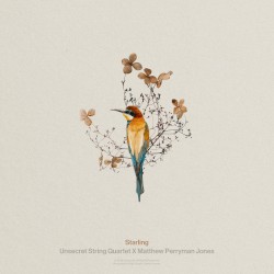 Starling