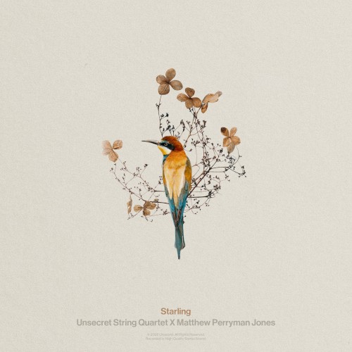 Starling