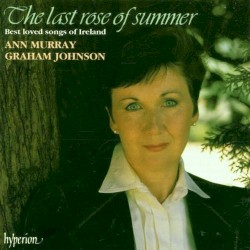 The Last Rose of Summer