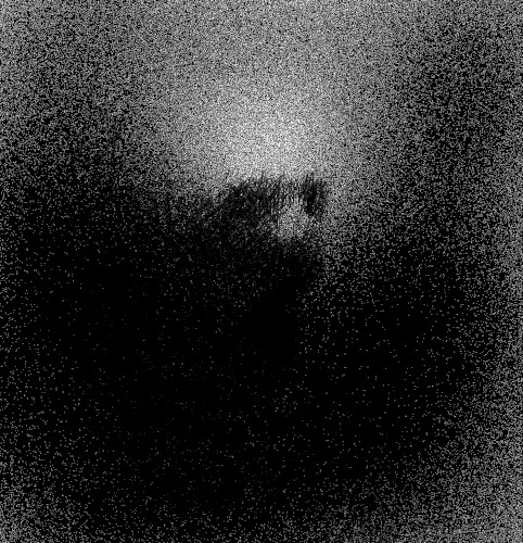 A Pale Light Lingers