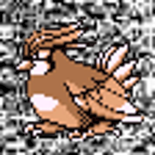 #017 ~ Pidgeotto