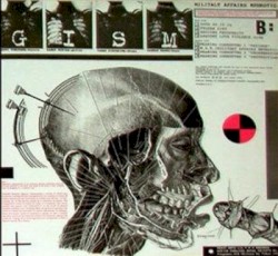 Military Affairs Neurotic
